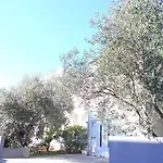 Doda זאדאר