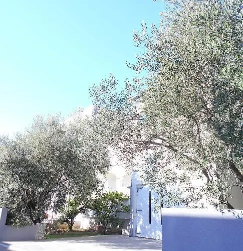 Doda زادار