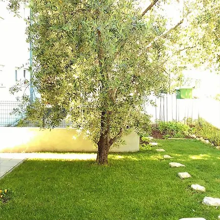 Διαμέρισμα Doda