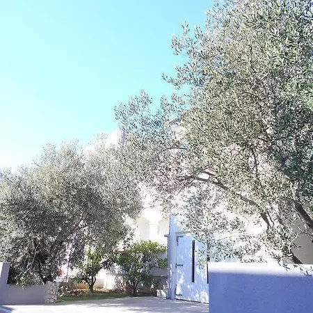 Doda Zadar